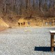 USPSA: Over at LooseRounds.com