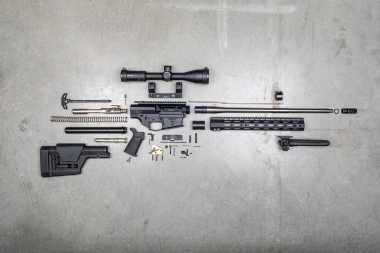 Long Range Precision Shooting: Can the AR-15 and AR-10 be Included in ...